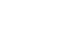 Due Diligence/Technical Audits/Consultancy